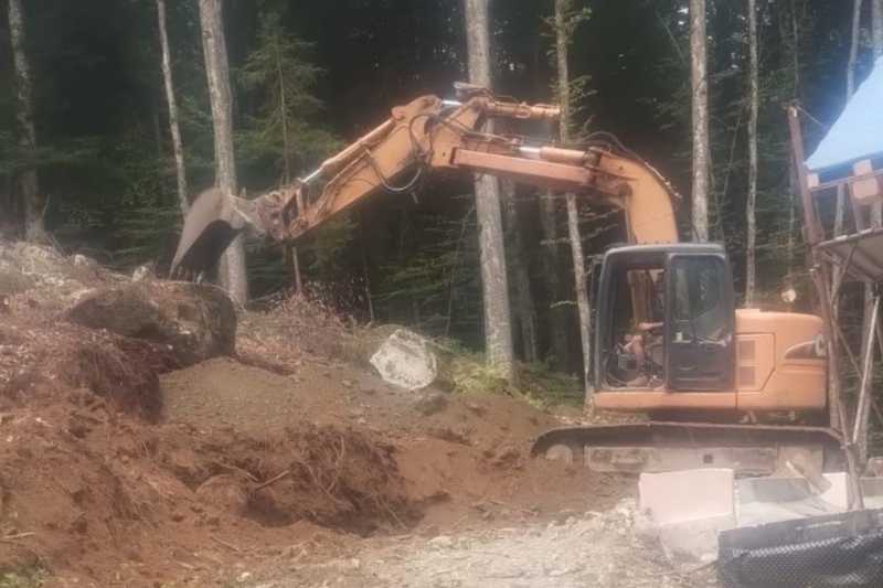 OmecoHub - Immagine CASE CX135SR